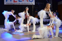 eroeffnungsball_2024_05