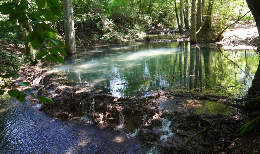 Gottesdienst am 08.03.2026