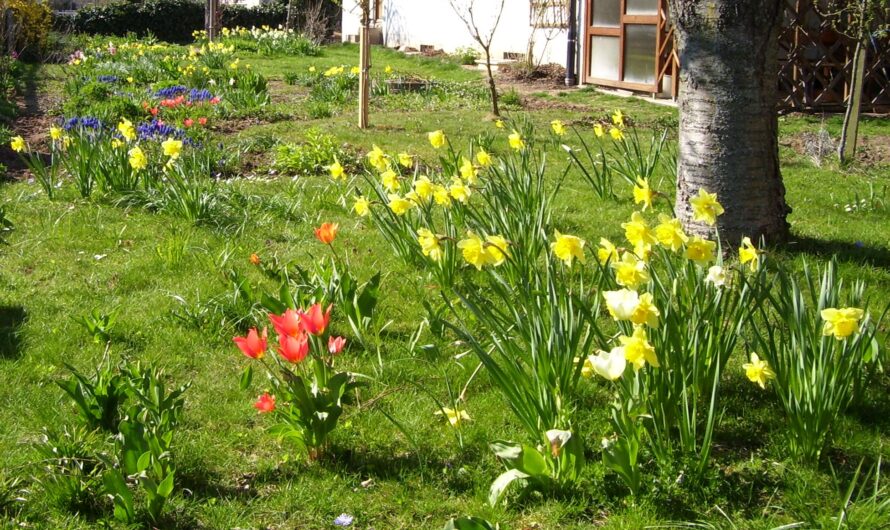 Gedanken zum Osterfest